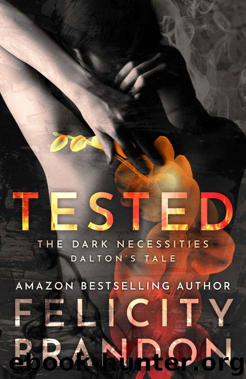 Tested: The Dark Necessities—Dalton's Tale #3 by Brandon Felicity
