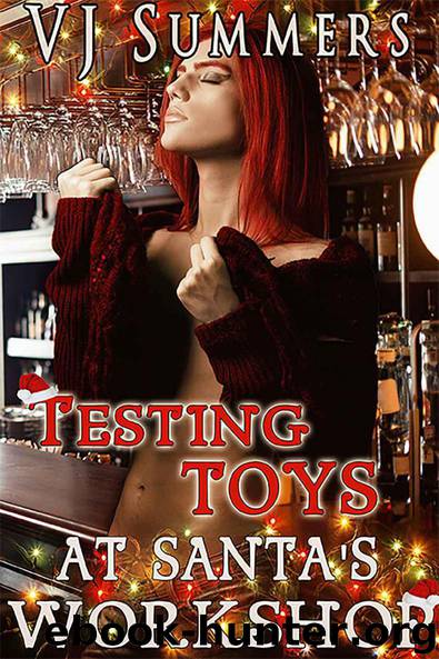 Testing Toys at Santa's Wrokshop by Summers VJ