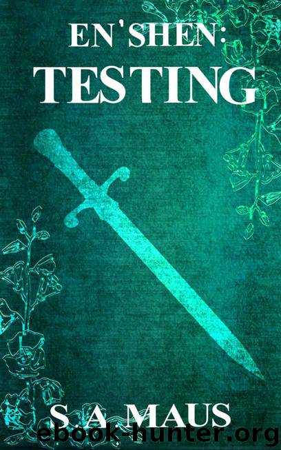 Testing by S A Maus