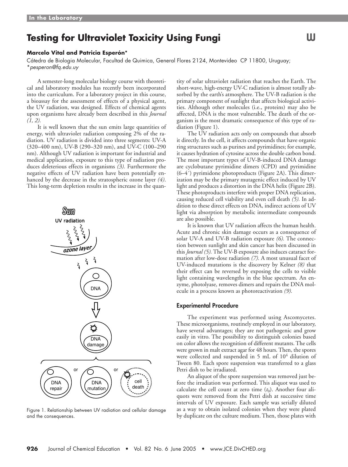 Testing for Ultraviolet Toxicity Using Fungi by Marcelo Vital & Patricia EsperŠn