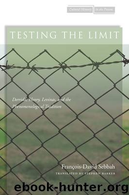 Testing the Limit by Sebbah François-David