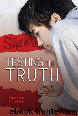 Testing the Truth by Shannon Knudsen