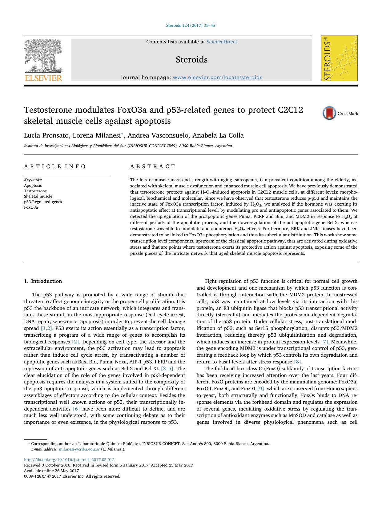 Testosterone modulates FoxO3a and p53-related genes to protect C2C12 skeletal muscle cells against apoptosis by Lucía Pronsato & Lorena Milanesi & Andrea Vasconsuelo & Anabela La Colla