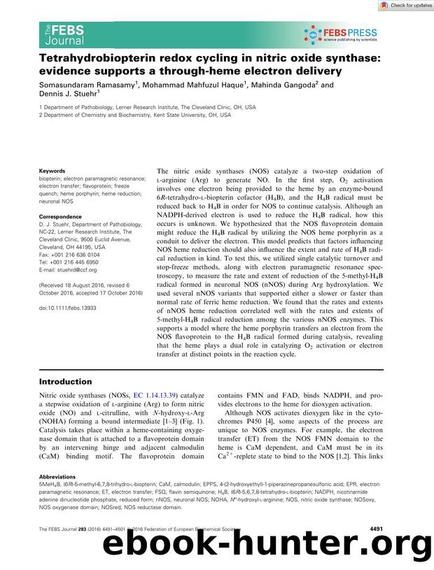 Tetrahydrobiopterin redox cycling in nitric oxide synthase: evidence supports a throughâheme electron delivery by Unknown