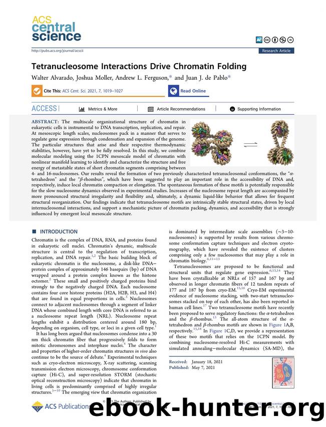 Tetranucleosome Interactions Drive Chromatin Folding by unknow