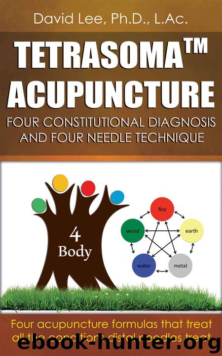 Tetrasoma Acupuncture: Four Constitutional Diagnosis and Four Needle Technique by Lee David