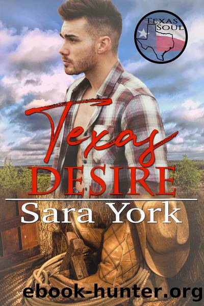 Texas Desire by Sara York