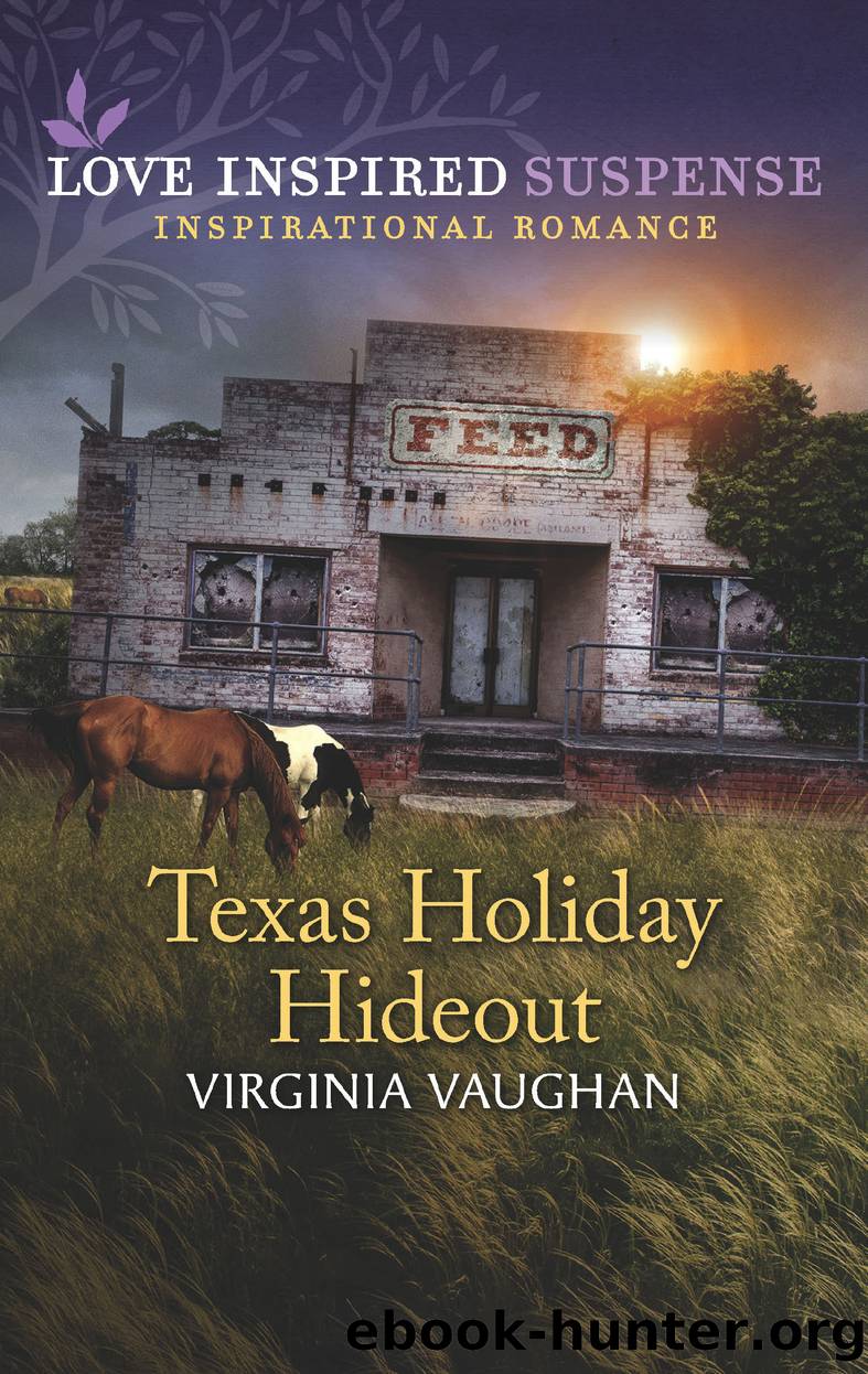 Texas Holiday Hideout by Virginia Vaughan