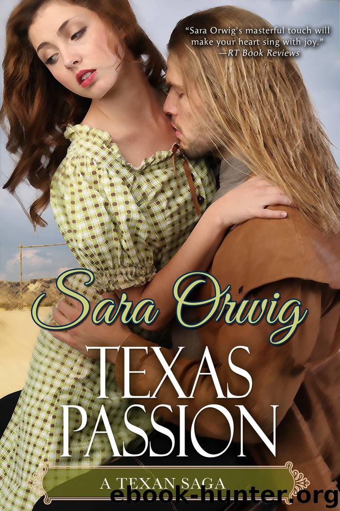 Texas Passion by Sara Orwig