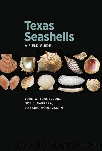 Texas Seashells by Tunnell John W.; Barrera Noe C.; Moretzsohn Fabio