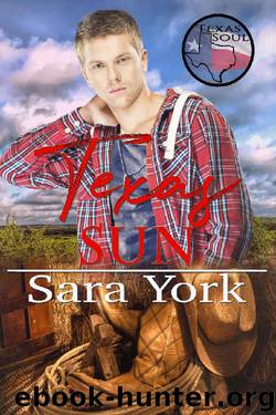 Texas Sun by Sara York