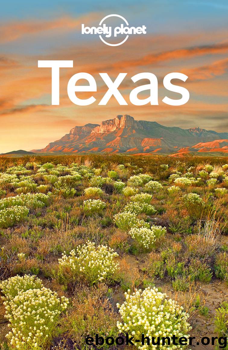 Texas Travel Guide by Lonely Planet