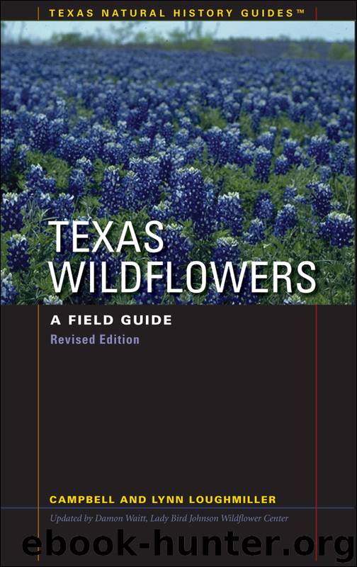 Texas Wildflowers by Campbell Loughmiller