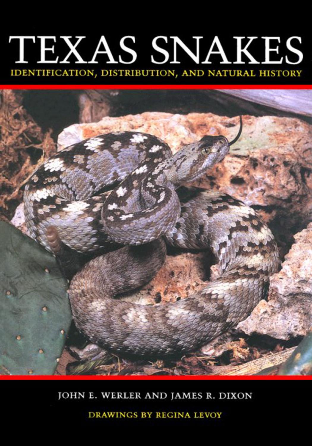 Texas snakes : identification, distribution, and natural history by John E Werler; James Ray Dixon