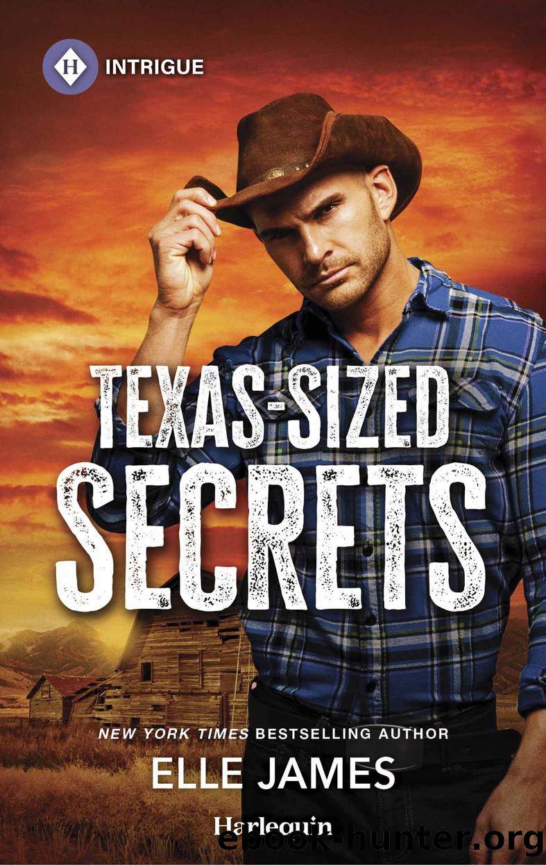 Texas-Sized Secrets by Elle James
