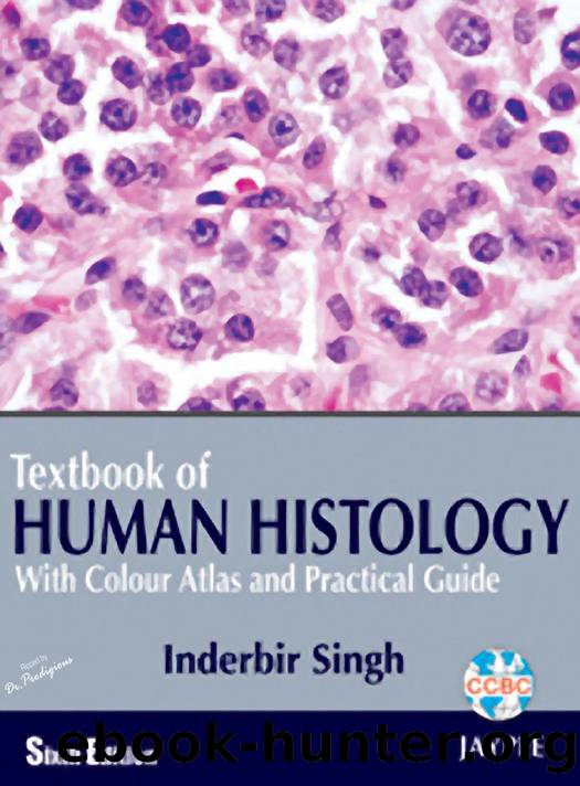 Textbook of Human Histology - With Colour Atlas and Practical Guide, 6th Edition by Inderbir Singh