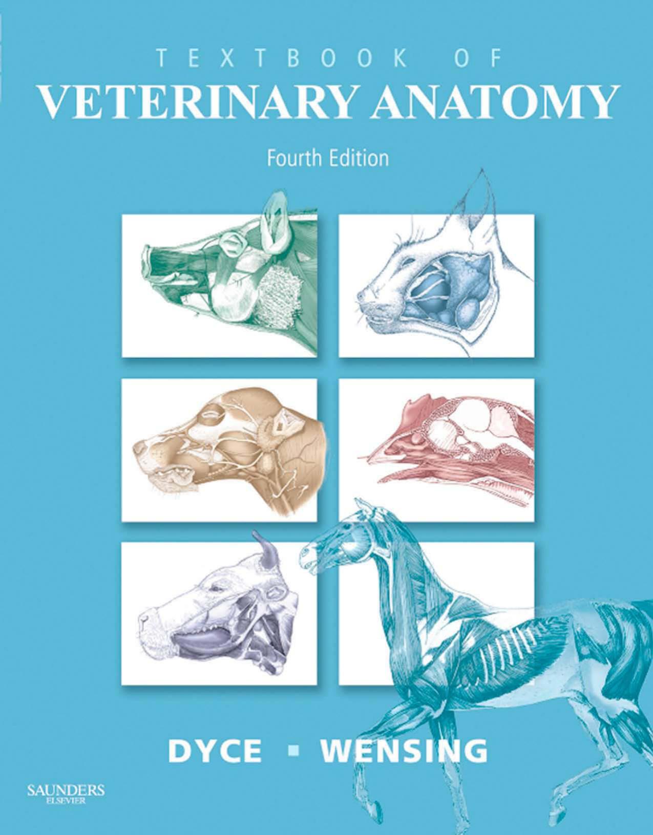 Textbook of Veterinary Anatomy - VETERINARY CONSULT Version to be sold via e-commerce site by Unknown