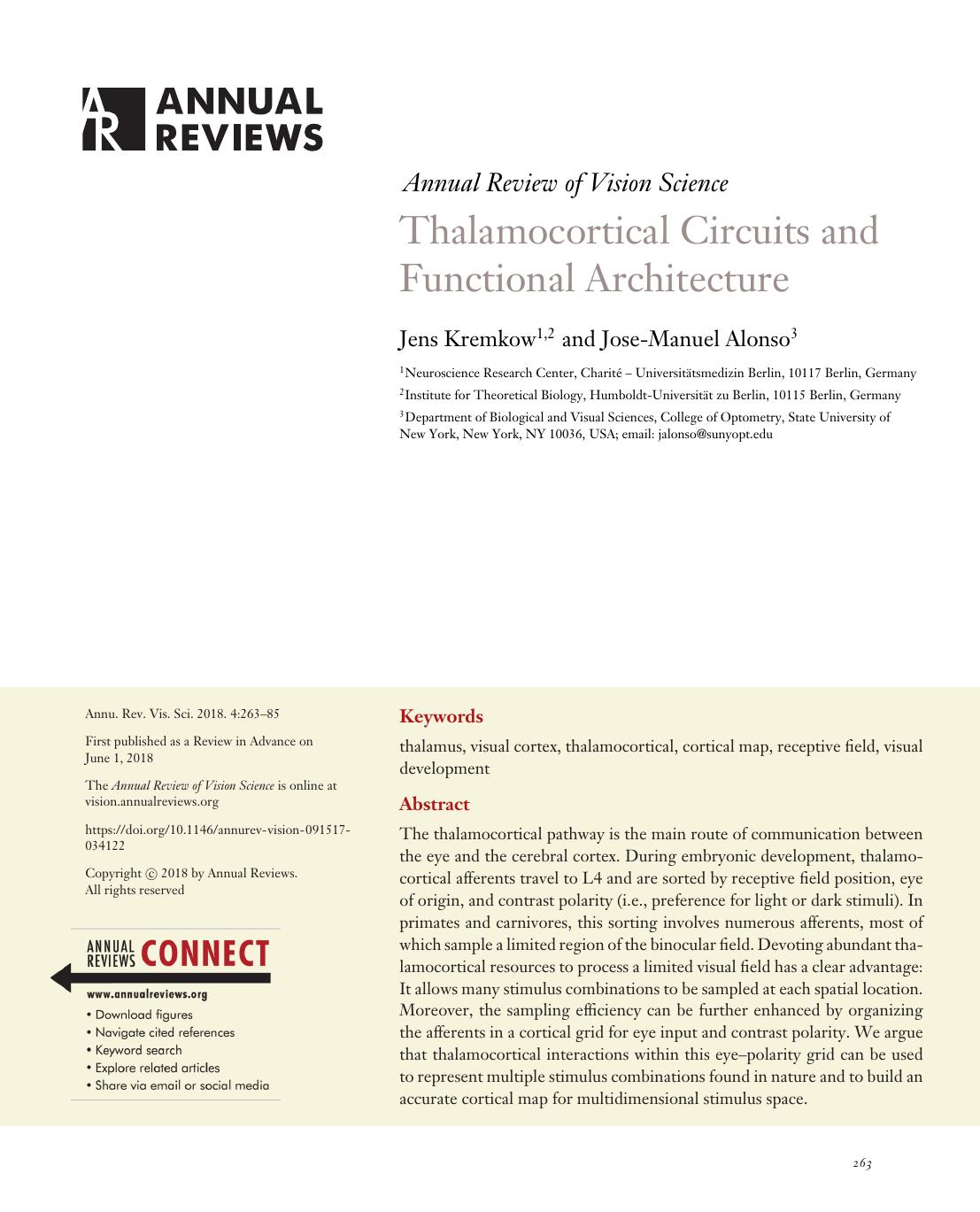 Thalamocortical Circuits and Functional Architecture by Jens Kremkow and Jose-Manuel Alonso