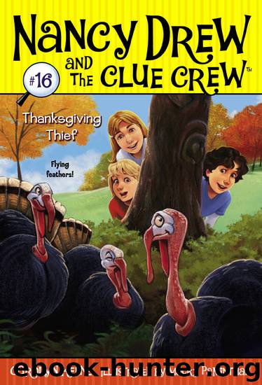 Thanksgiving Thief by Carolyn Keene