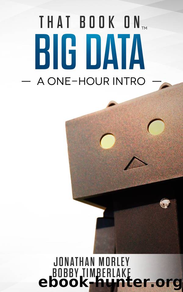 That Book on Big Data: A One-Hour Intro by Morley Jonathan & Timberlake Bobby