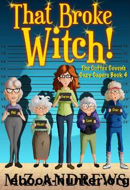 That Broke Witch! by M Z Andrews