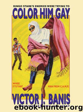 That Man from C.A.M.P. in COLOR HIM GAY by Victor J. Banis