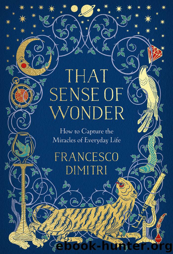 That Sense of Wonder by Francesco Dimitri