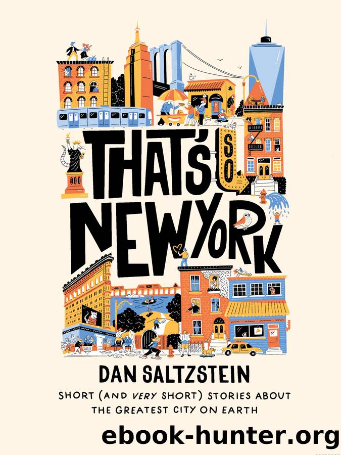 That's So New York by Dan Saltzstein