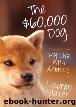 The $60,000 Dog by Lauren Slater