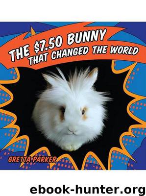 The $7.50 Bunny That Changed the World by Gretta Parker