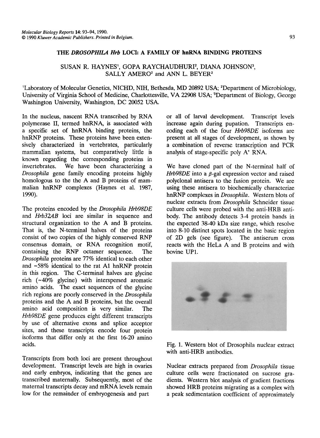 The <Emphasis Type="Italic">Drosophila Hrb<Emphasis> loci: A family of hnRNA binding proteins by Unknown