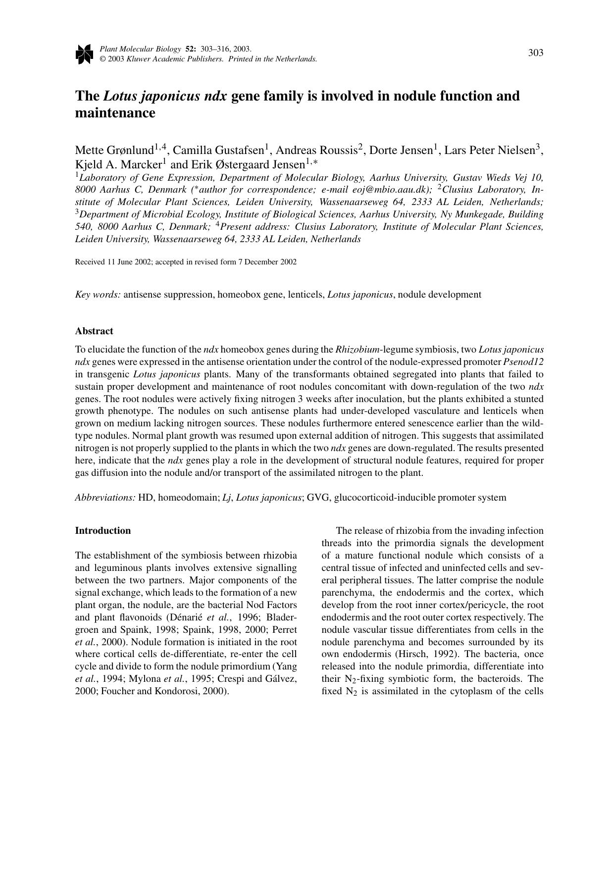 The <Emphasis Type="Italic">Lotus japonicus ndx<Emphasis>gene family is involved in nodule function and maintenance by Unknown
