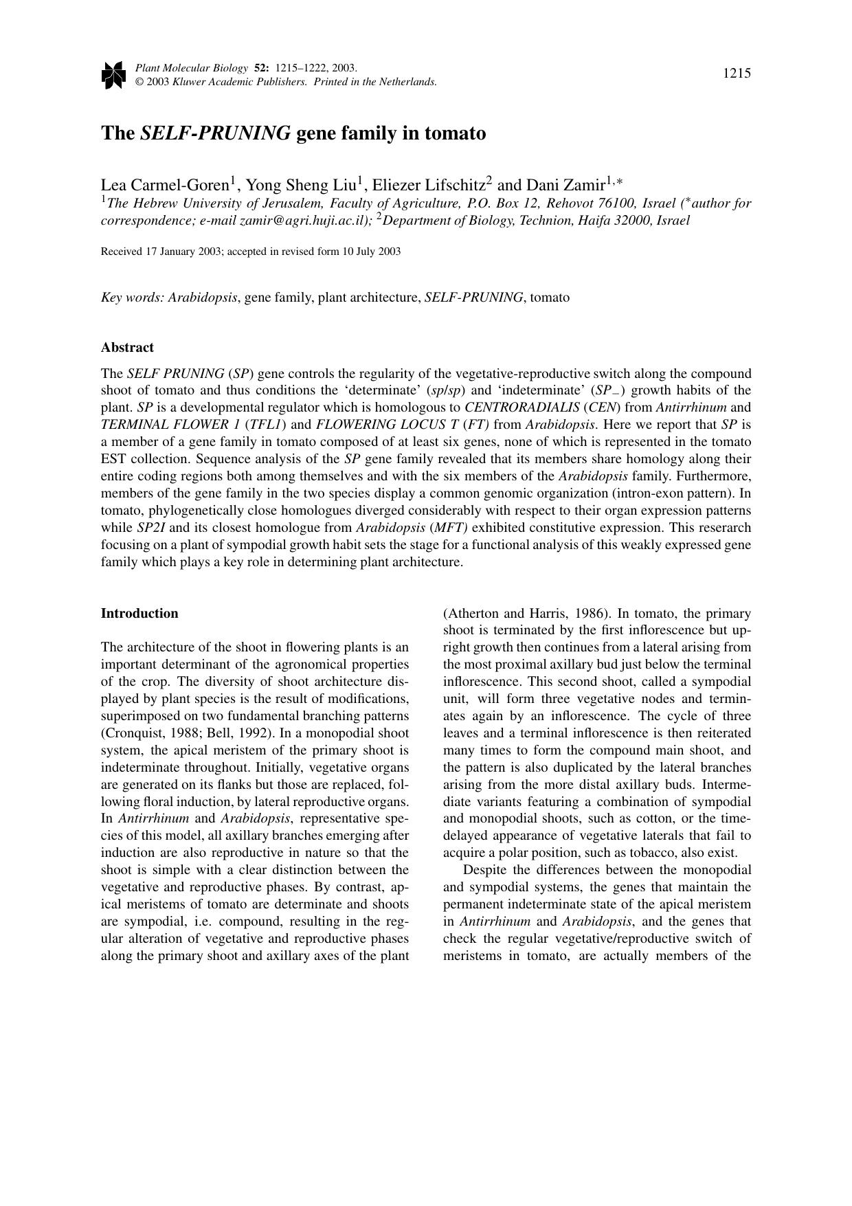 The <Emphasis Type="Italic">SELF-PRUNING<Emphasis> gene family in tomato by Unknown