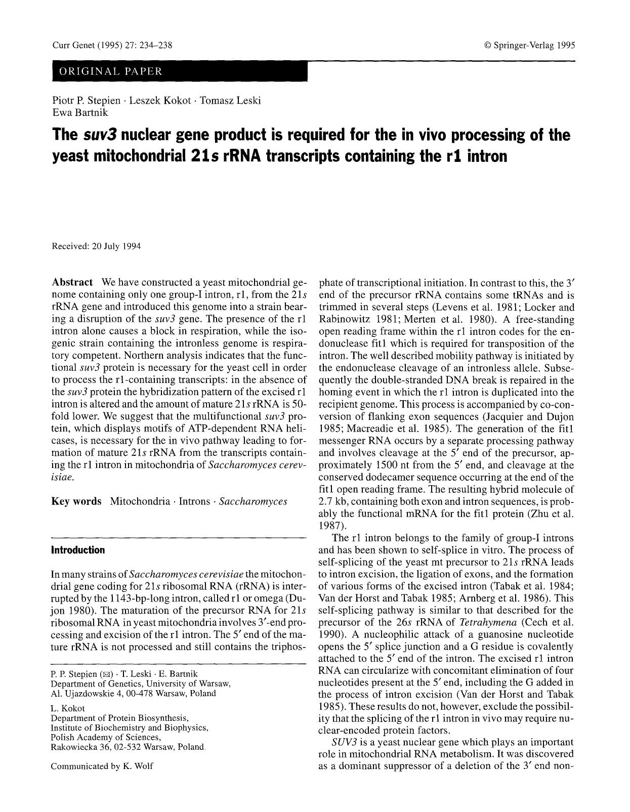 The <Emphasis Type="Italic">suv3<Emphasis> nuclear gene product is required for the in vivo processing of the yeast mitochondrial 21<Emphasis Type="Italic">s<Emphasis> rRNA transcr by Unknown