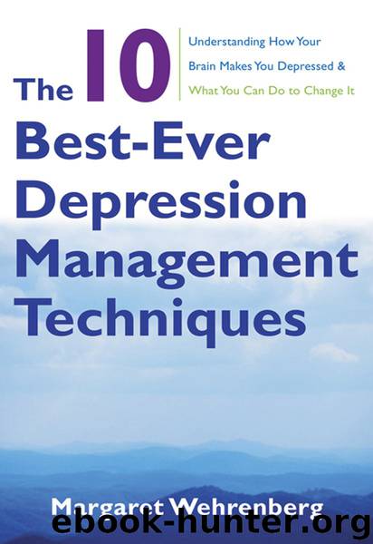 The 10 Best-Ever Depression Management Techniques: Understanding How Your Brain Makes You Depressed and What You Can Do to Change It by Wehrenberg Margaret