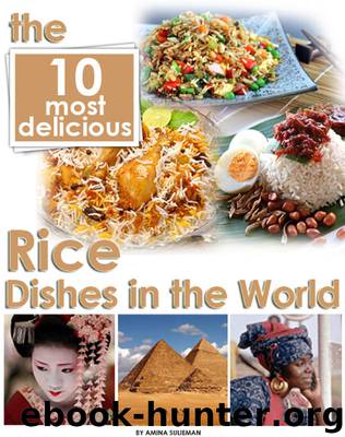 The 10 Most Delicious Rice Dishes in the World by Suleiman Amina