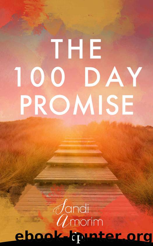 The 100 Day Promise by Amorim Sandi