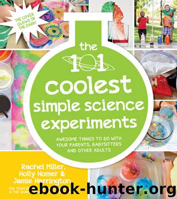 The 101 Coolest Simple Science Experiments by Rachel Miller & Holly Homer & Jamie Harrington