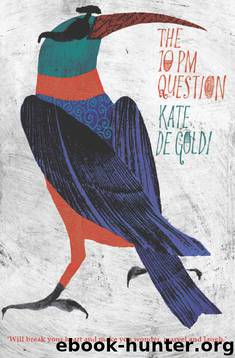 The 10PM Question by Kate de Goldi