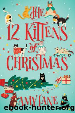 The 12 Kittens of Christmas by Amy Lane