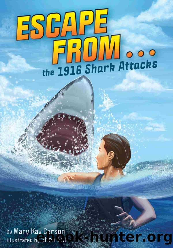 The 1916 Shark Attacks by Mary Kay Carson
