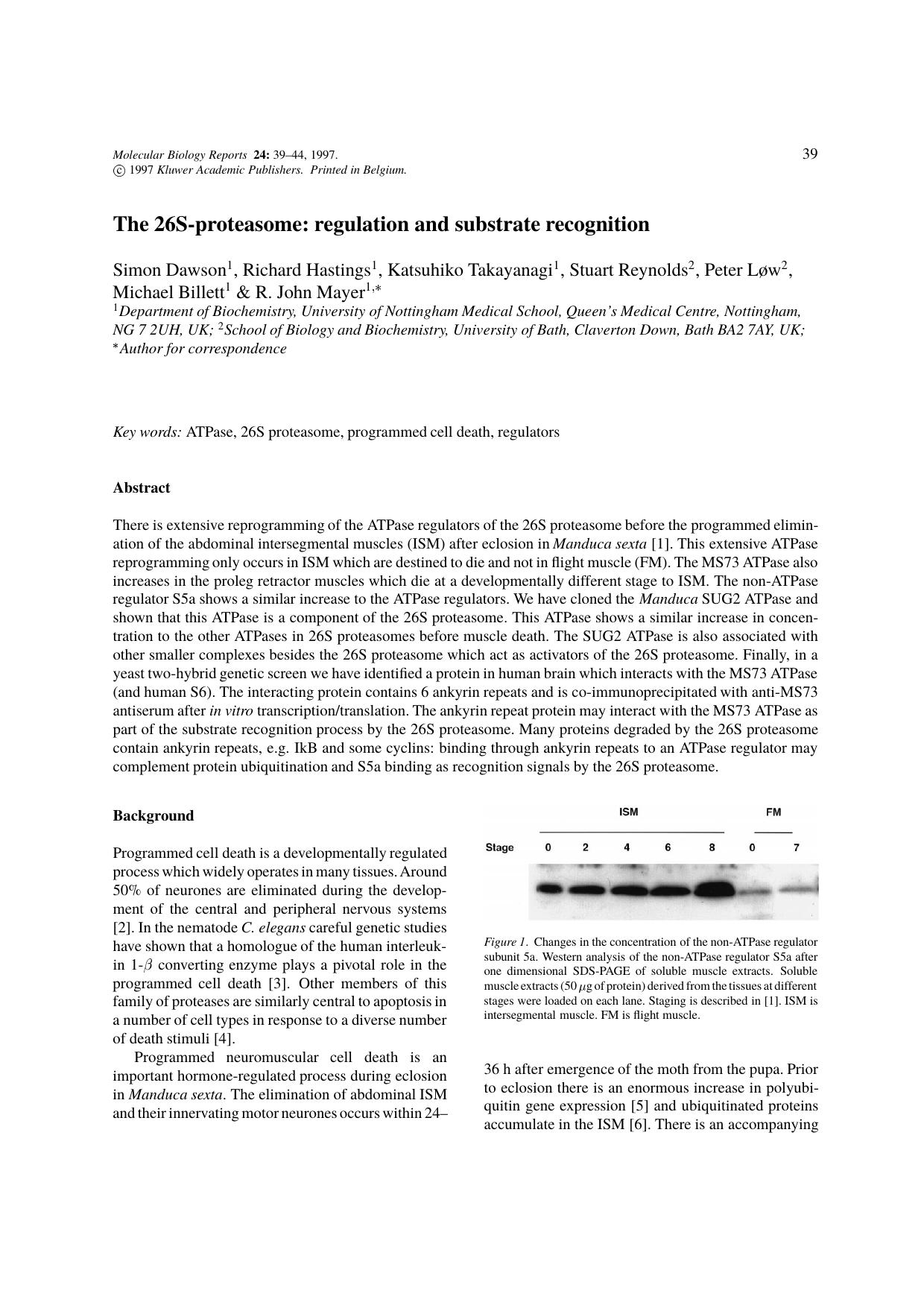 The 26S-proteasome: regulation and substrate recognition by Unknown