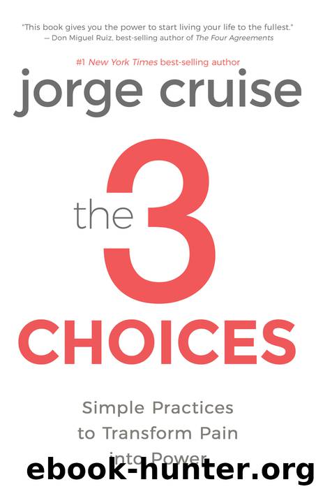 The 3 Choices by Jorge Cruise