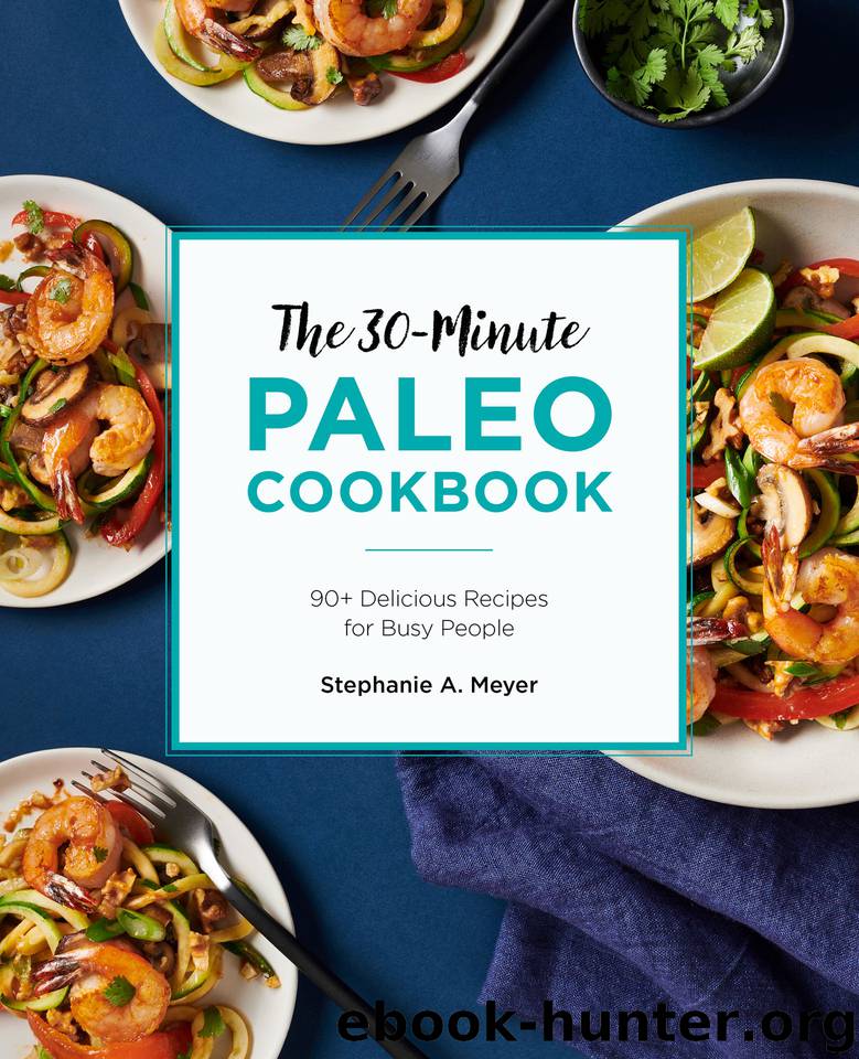 The 30-Minute Paleo Cookbook: 90+ Delicious Recipes for Busy People by Meyer Stephanie A