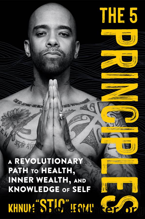 The 5 Principles: a Revolutionary Path to Health, Inner Wealth, and Knowledge of Self by Khnum 'Stic' Ibomu