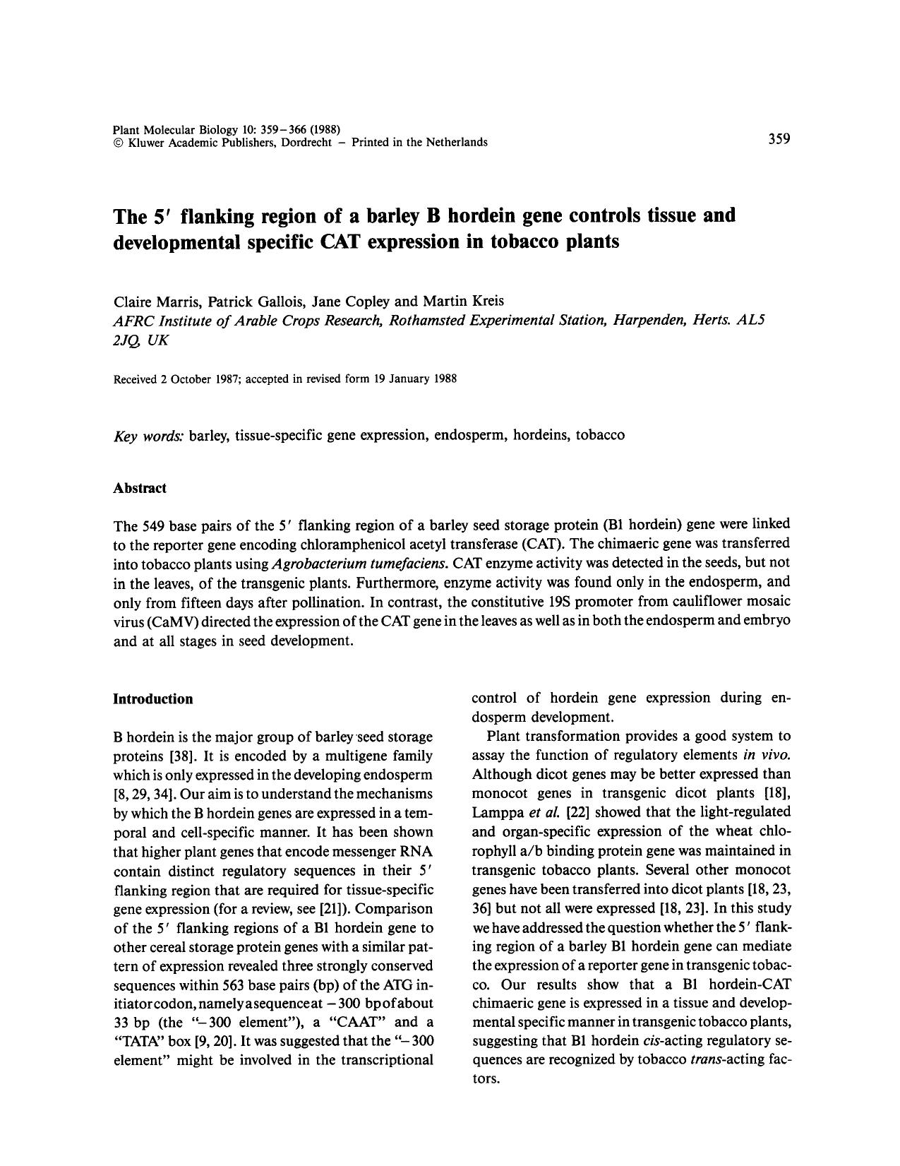The 5&#x2032; flanking region of a barley B hordein gene controls tissue and developmental specific CAT expression in tobacco plants by Unknown