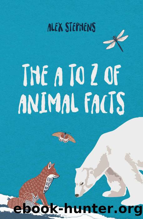 The A to Z of Animal Facts by Stephens Alex
