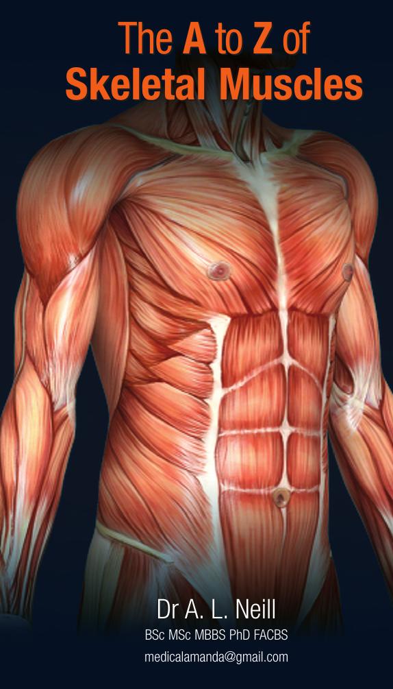 The A to Z of Skeletal Muscles by A. Neill WW