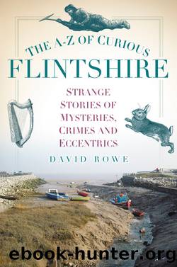 The A-Z of Curious Flintshire by David Rowe