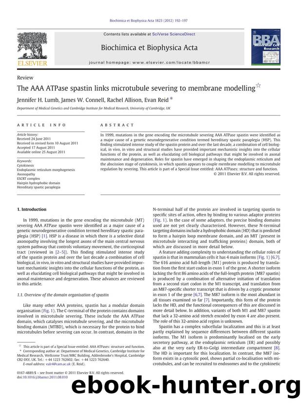 The AAA ATPase spastin links microtubule severing to membrane modelling by Jennifer H. Lumb & James W. Connell & Rachel Allison & Evan Reid